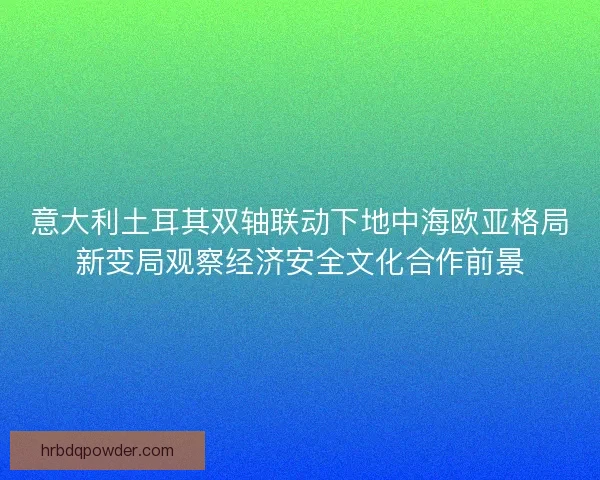 意大利土耳其双轴联动下地中海欧亚格局新变局观察经济安全文化合作前景